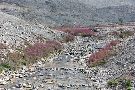 Athabasca Glacierの写真素材
