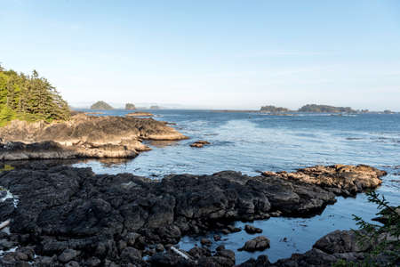 seaの写真素材