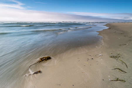 beachの写真素材