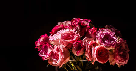 A bouquet of pink roses in sunlight.の写真素材
