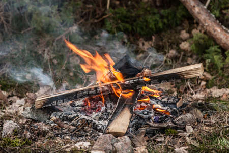 Small campfire burning eagerly waiting for the coffee pot.