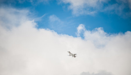 Gothenburg, Sweden - August 29 2010: F-16 airplane of the Danish Air Force at Gothenburg Aero Showのeditorial素材