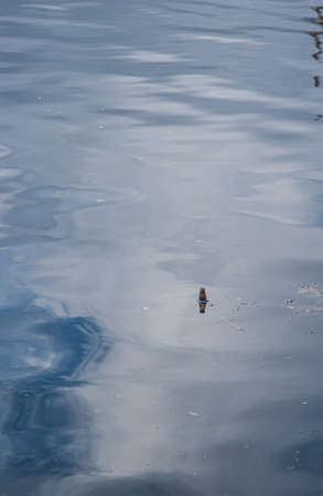 Brown glass flask floating in the water.