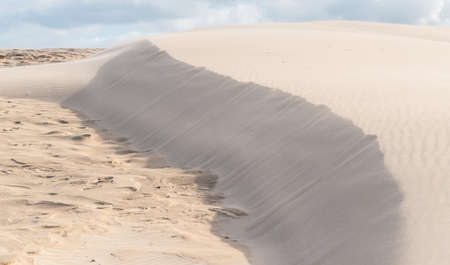 Details of a sand dune in beautiful light.の写真素材