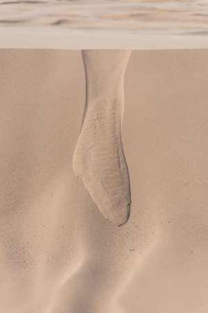 Details of a sand dune in beautiful light.