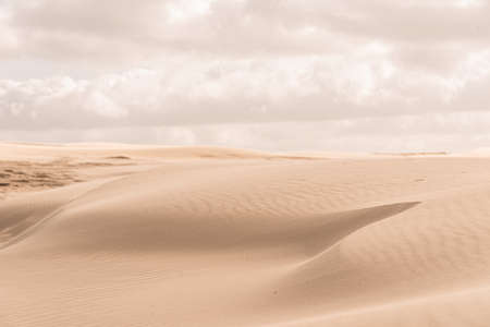 Details of a sand dune in beautiful light.の写真素材