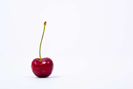 Closeup of a sweet cherry, Prunus avium. White background.の写真素材