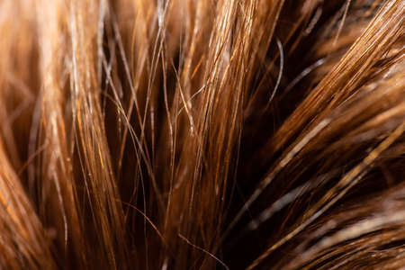 Closeup of brown hair of a child.の写真素材