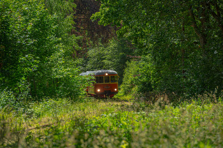 Alingsås, Sweden - June 29 2019: Museum railbus between Anten and Gräfsnäs passing through picturesque scenery.のeditorial素材