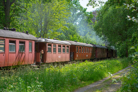 Alingsås, Sweden - June 29 2019: Museum train between Anten and Gräfsnäs passing through picturesque scenery.のeditorial素材