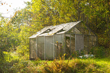 An old green house in a sprawling green garden.の写真素材
