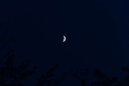 Crescent moon with visible craters on a dark night..の写真素材