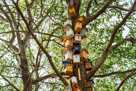 Gothenburg, Sweden - August 22 2020: More than 20 colorful bird houses on a treeのeditorial素材