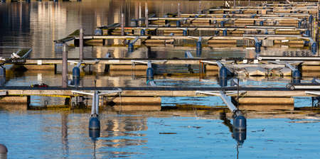 Floating docks on a calm, sunny day.の写真素材