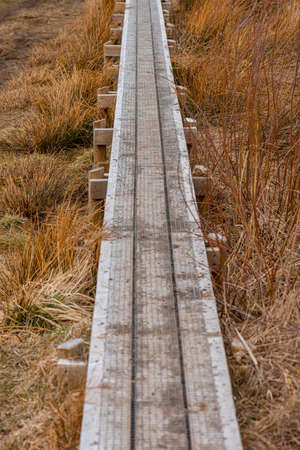 A Bboardwalk over a wet grassland