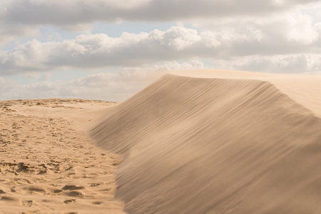 Fine texture and lines of sandy dunes in a desertの写真素材