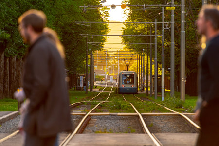 Gothenburg, Sweden - July 20 2020: A tram on line 9 on its way down Ã„lvsborgsgatan at sunset
