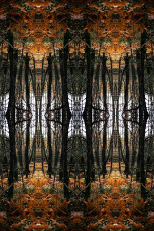 Autumn forest themed creative pattern.の写真素材