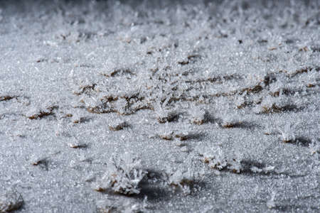 Ice crystals forming on sand grain.の写真素材
