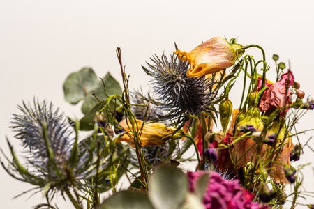 Colorful bouquet of dried flowersの写真素材