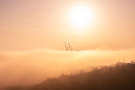 Idle container cranes in dense fogの写真素材