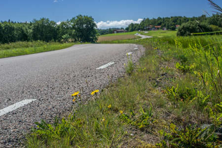 Winding road in a green landscapeの写真素材