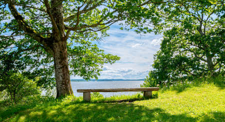 View from a bench under a tree by a lake.の写真素材