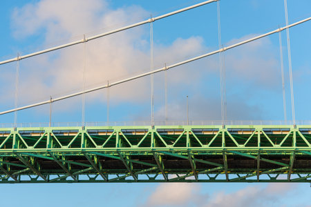 Details of a green suspension bridge.
