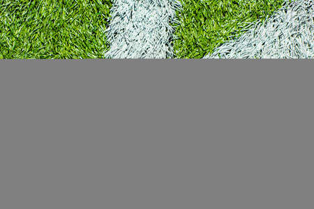 White markings on a soccer pitch.