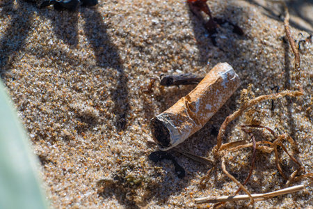 Old cigarette butt thrown away in the sand on a beachの写真素材