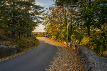 Turn of a narrow road in late evening sunlight