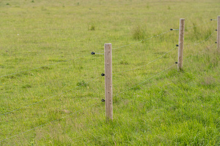 Electrical fence and post in a field.の写真素材