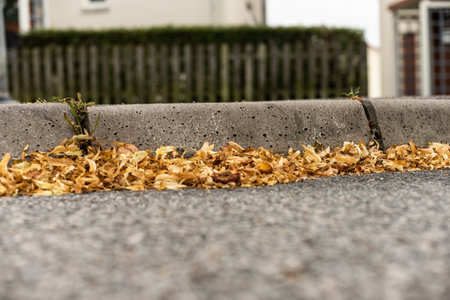 Dry leaves blown to the gutter of a roadの写真素材