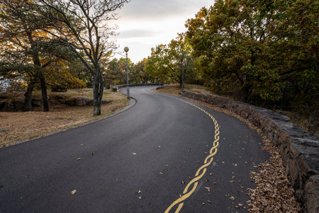 Curvy asphalt road with a yellow painted road marking