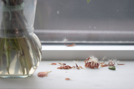 Leaves ans seeds of a flower fallen from a blower in a vaseの写真素材