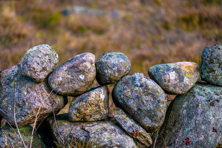 Old stone fence  by an open fieldの写真素材