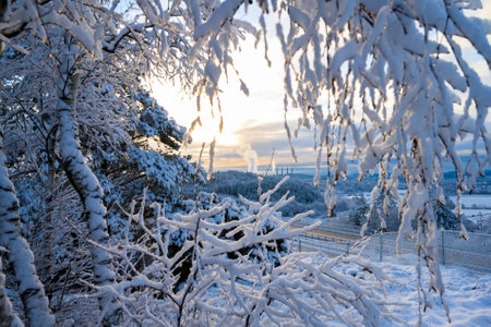 Looking through an opening in a frozen forest towards industry in the horizonの写真素材