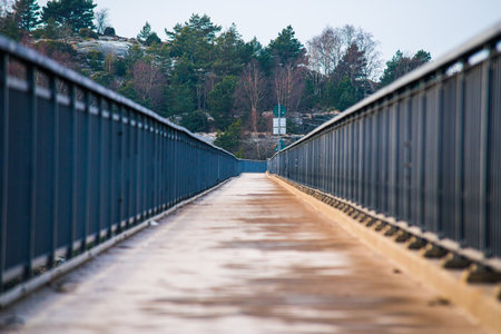Narrow foot bridge by tree clad cliffsの写真素材