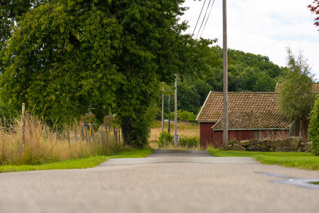 Looking down a narrow road passing a tree and a barnの写真素材