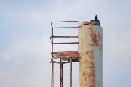 Crow sitting on top of a chimneyの写真素材