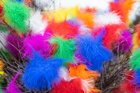 Blue red yellow green and orange feathersの写真素材