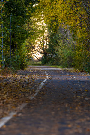 Looking down a bicycle road at fall
