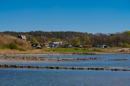Row of exclusive homes near a beachの写真素材