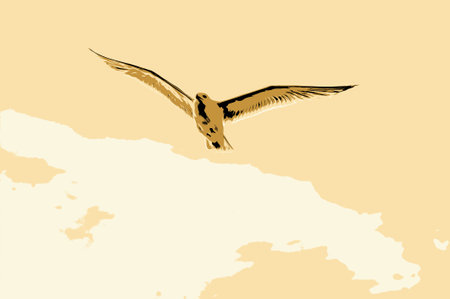 Seagull soaring in a blue skyの写真素材