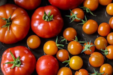Ripe tomatoes in different sizesの写真素材