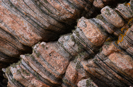 Grey and pink gneiss metamorphic rock.