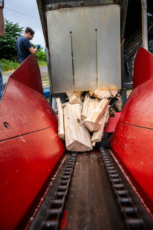 Freshly cleaved firewood on a cleaving machine