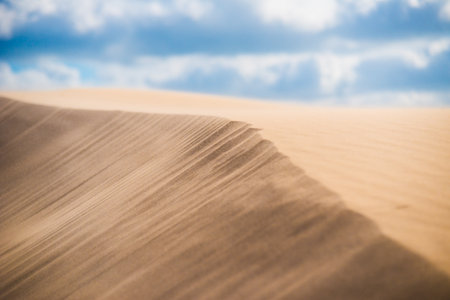 Fine texture on sand in a desertの写真素材