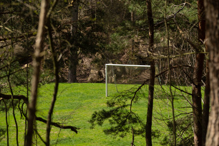 Football goal on a small football pitch in a forestの写真素材