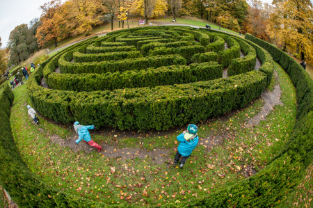 Kids playing in a hedge mazeの写真素材
